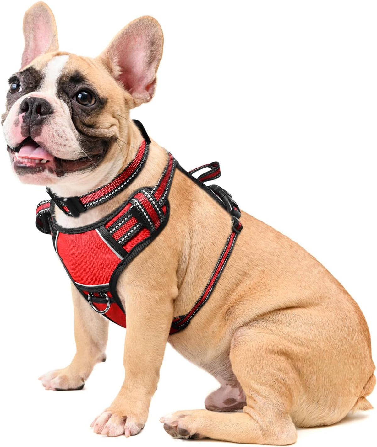 Reflective no-pull dog harness with adjustable straps and front and back leash clips.