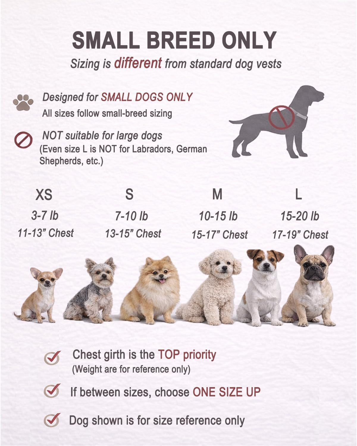 Small dog vest kit with leash, bone-shaped ID tag, and interchangeable patches