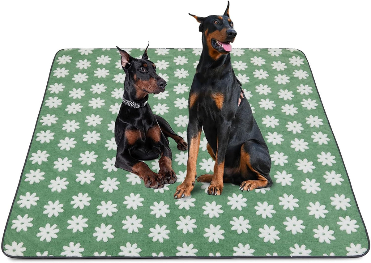 LOOBANI reusable dog pad for whelping, puppy training, and crate protection.