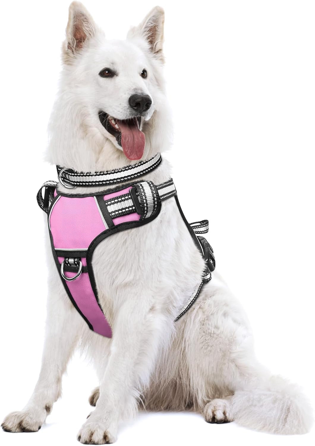 Reflective no-pull dog harness with adjustable straps and front and back leash clips.