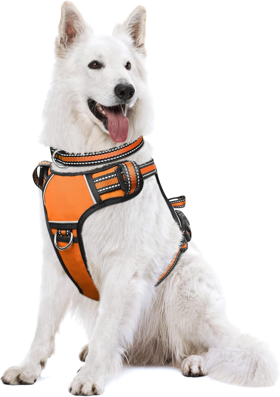 Reflective no-pull dog harness with adjustable straps and front and back leash clips.