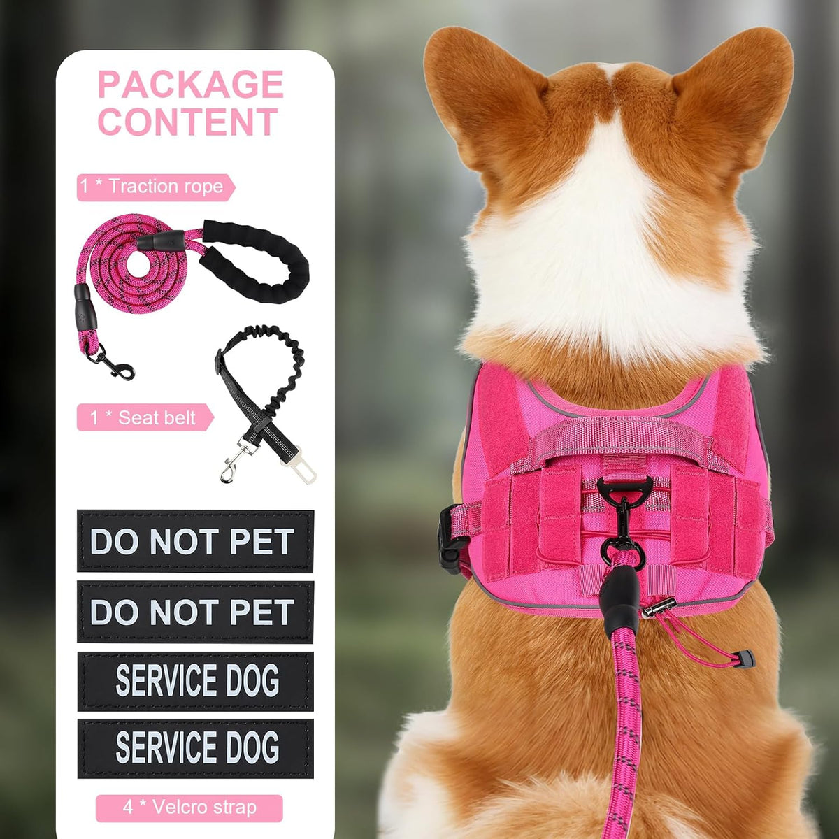 Small-dog vest kit with leash, car seat belt, and removable patches