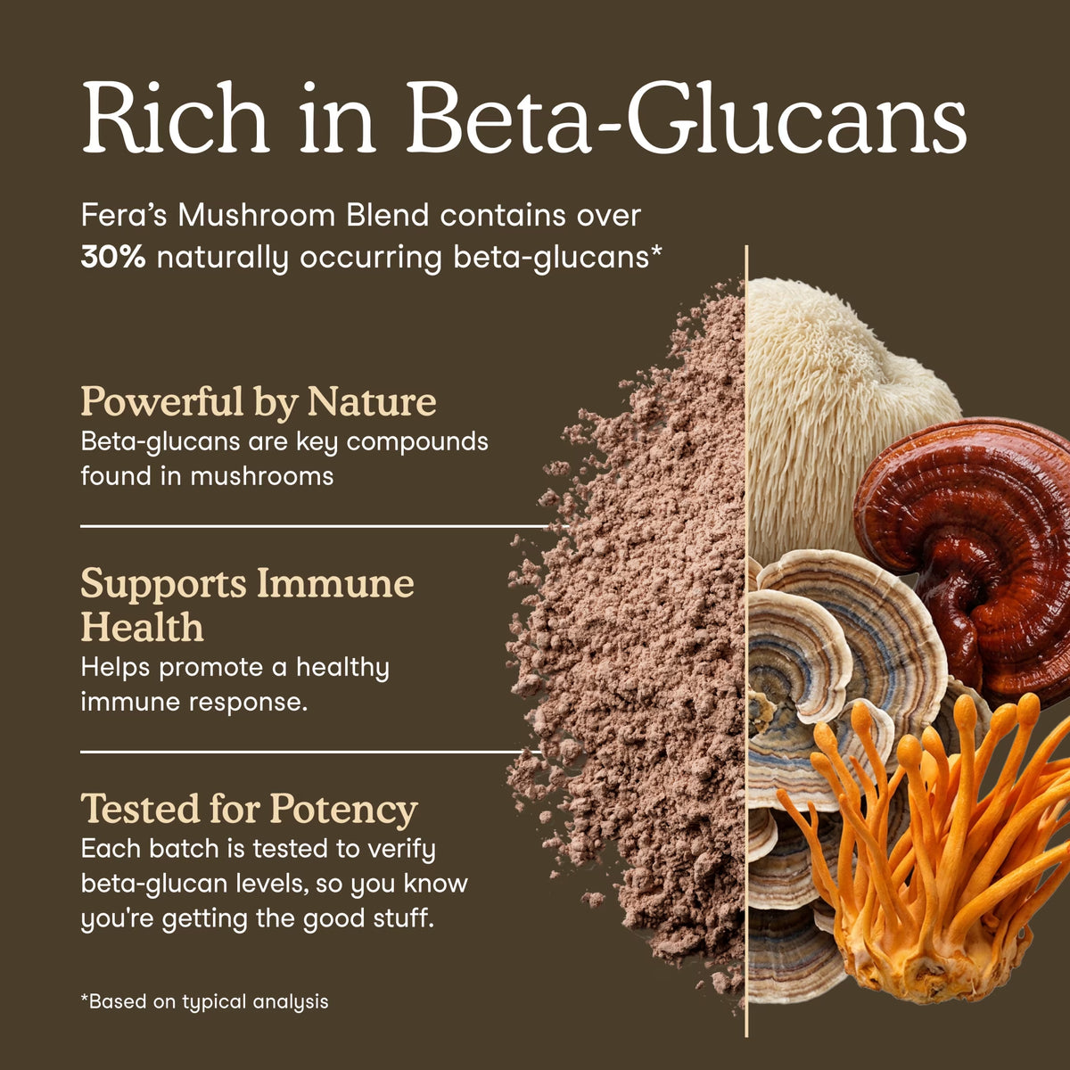 Fera Pets Organic Mushroom Powder for dogs and cats, 120 scoops.
