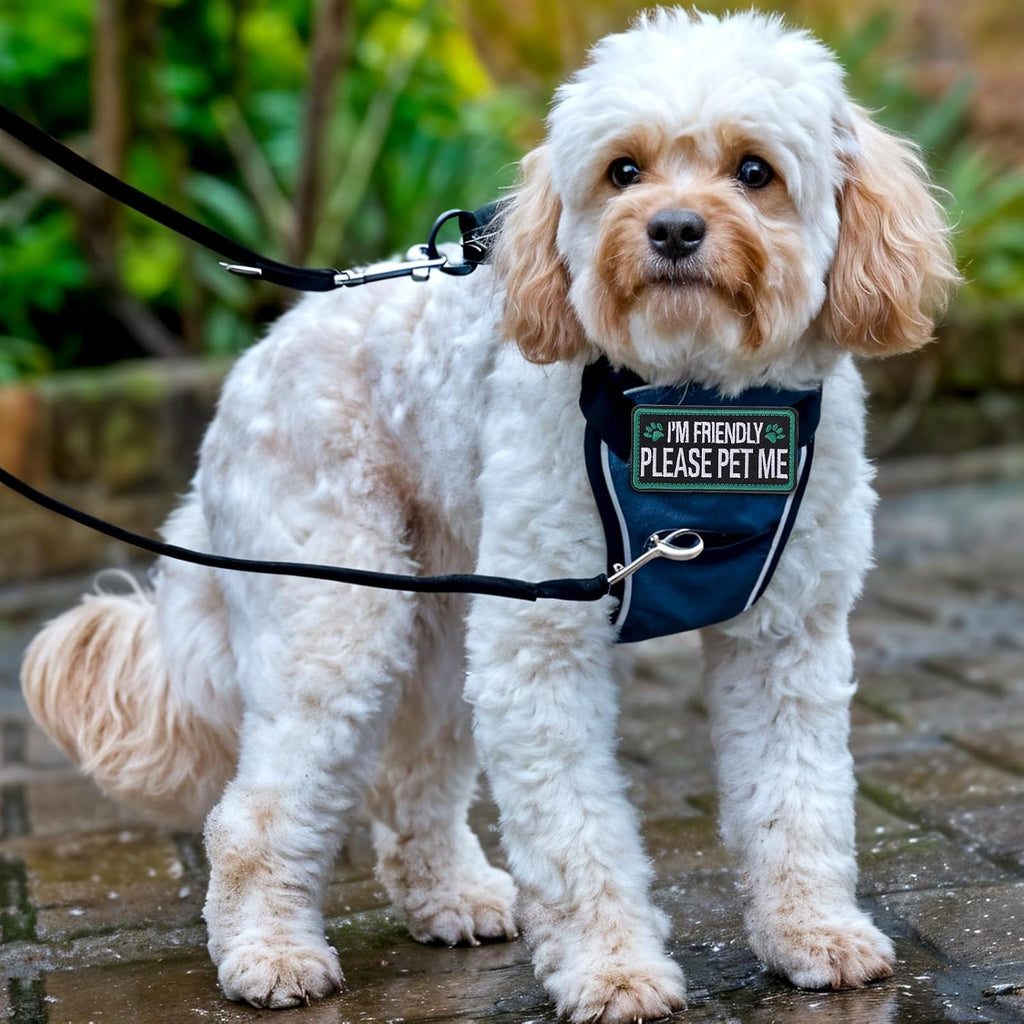  Embroidered I’m Friendly, Please Pet Me dog patches for compatible pet gear