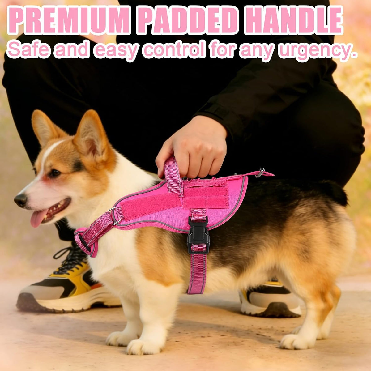 Small-dog vest kit with leash, car seat belt, and removable patches