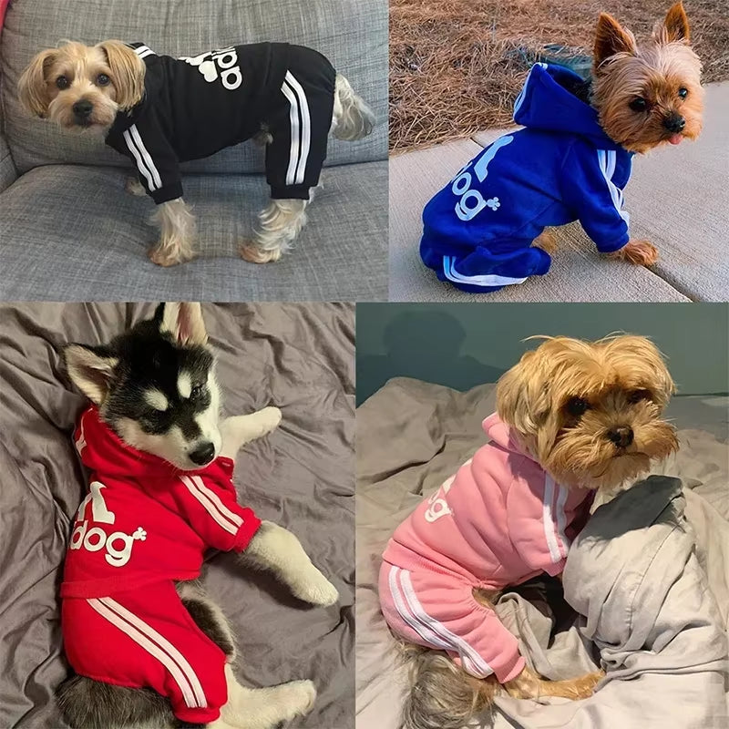 Adidog Dog Jumpsuit 