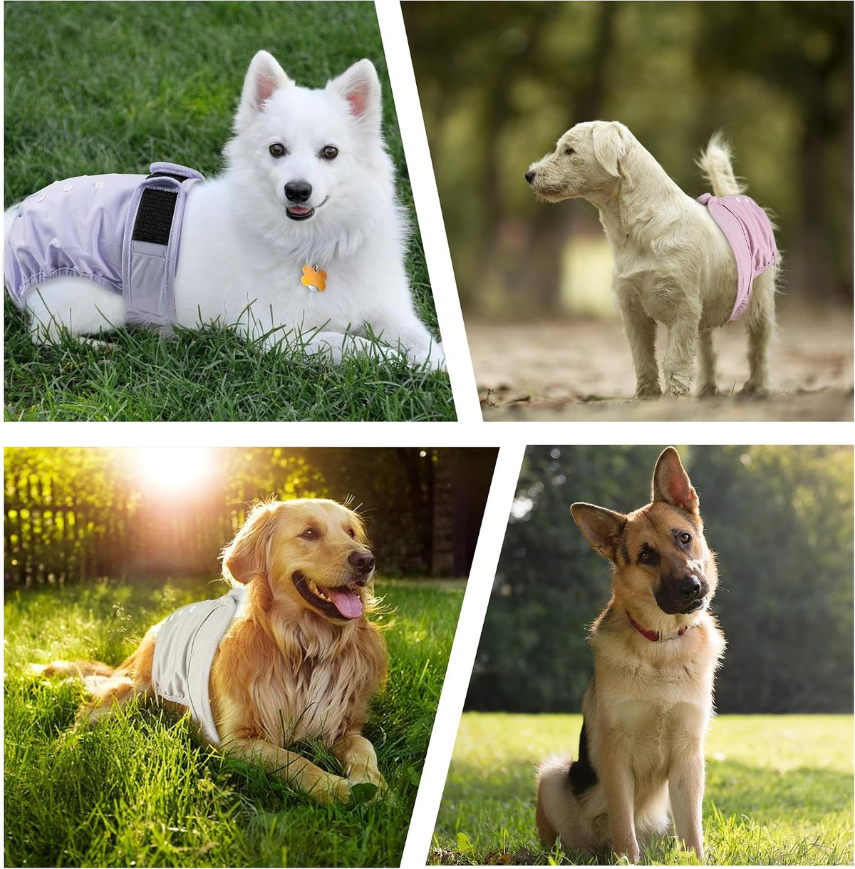 Washable female dog diaper with adjustable fit.