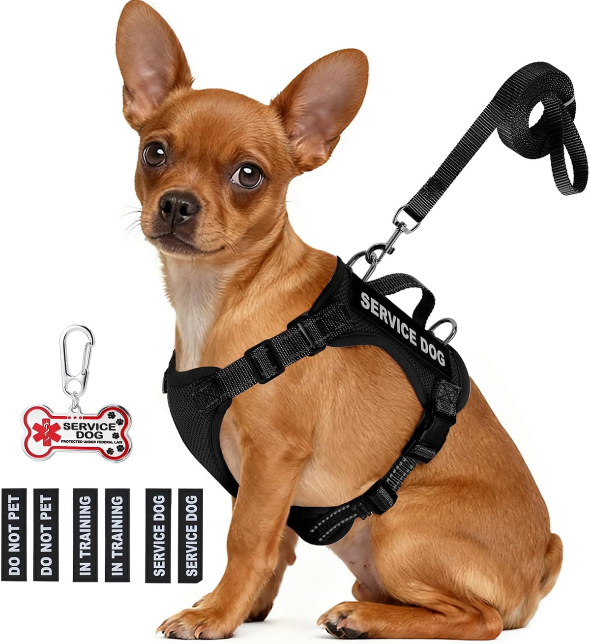 Small dog vest kit with leash, bone-shaped ID tag, and interchangeable patches