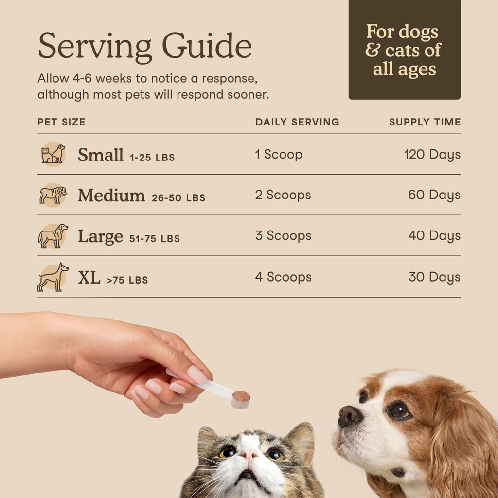 Fera Pets Organic Mushroom Powder for dogs and cats, 120 scoops.