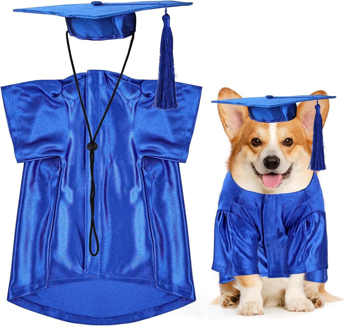 Dog and cat graduation cap and gown costume